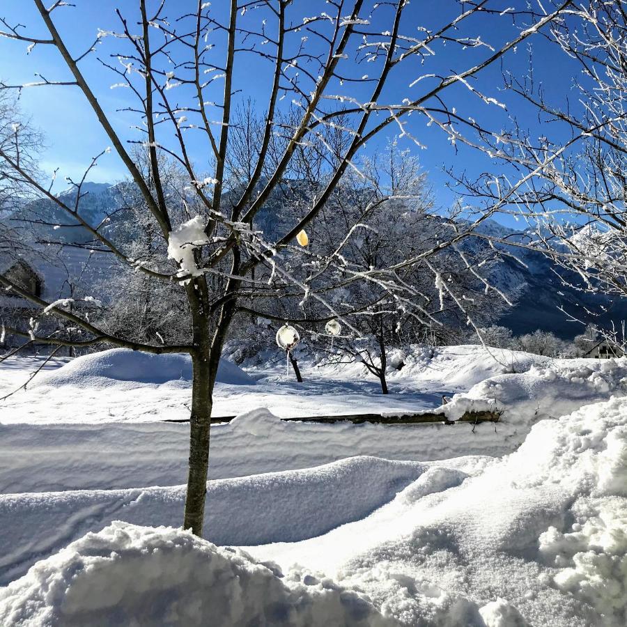 Residence Aurora, Bohinj Luaran gambar