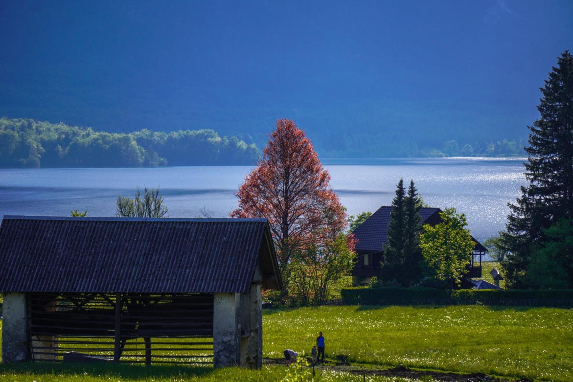 Residence Aurora, Bohinj Luaran gambar